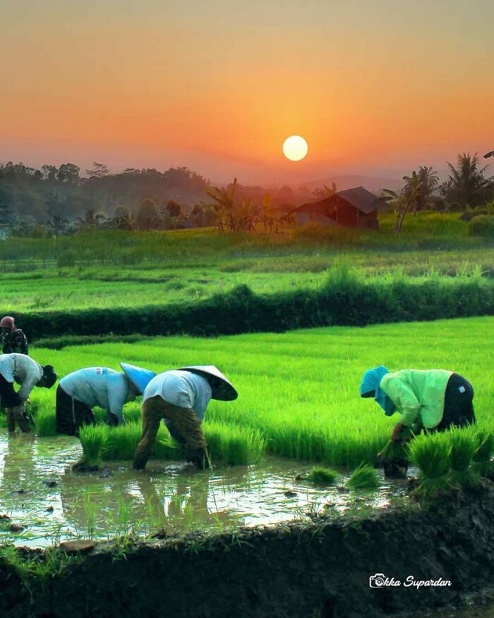 The Vibrant World Of Okka Supardan: Capturing Life’s Simple Joys