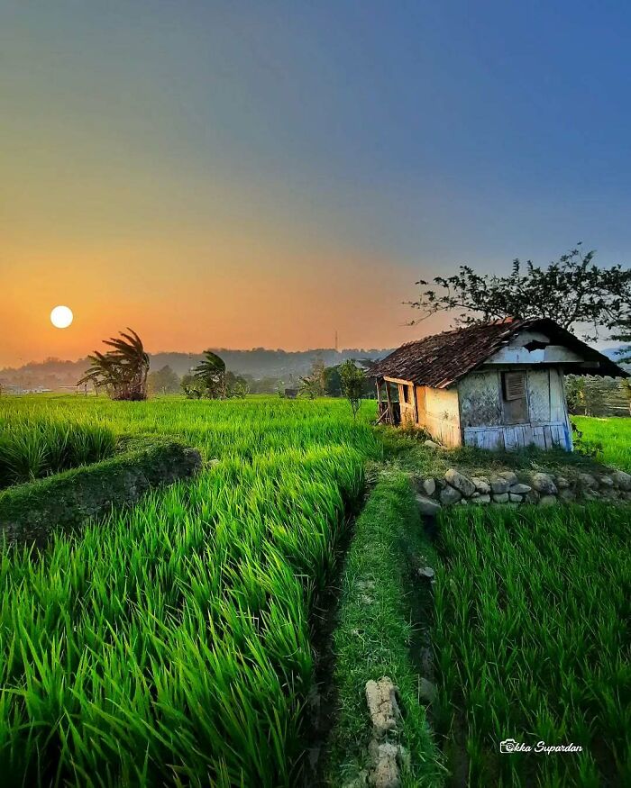 34 Vibrant And Authentic Photos Of Indonesia’s Daily Life Captured By A Local Photographer