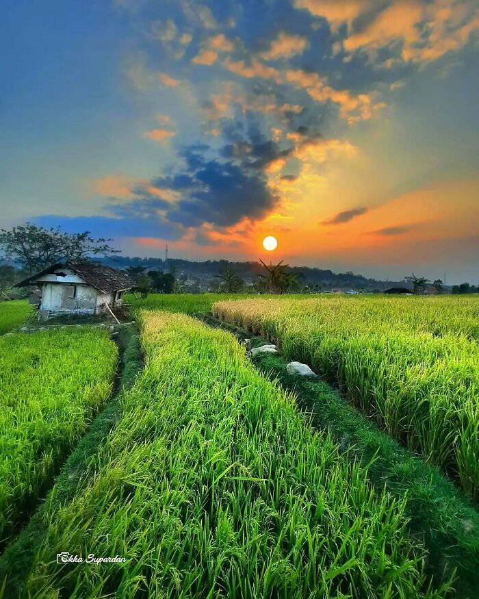 34 Vibrant And Authentic Photos Of Indonesia’s Daily Life Captured By A Local Photographer