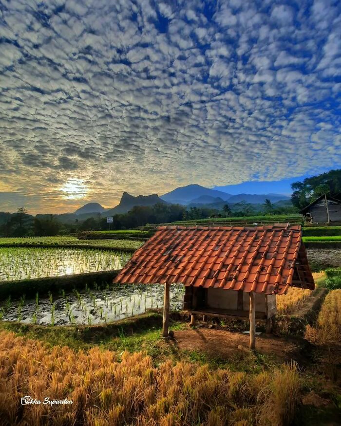 34 Vibrant And Authentic Photos Of Indonesia’s Daily Life Captured By A Local Photographer