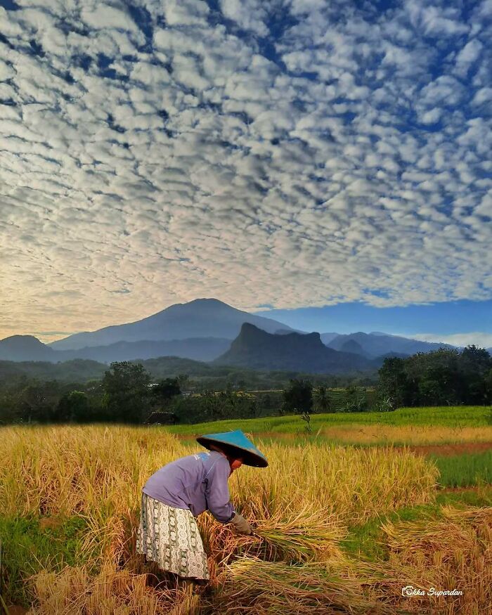 The Vibrant World Of Okka Supardan: Capturing Life’s Simple Joys