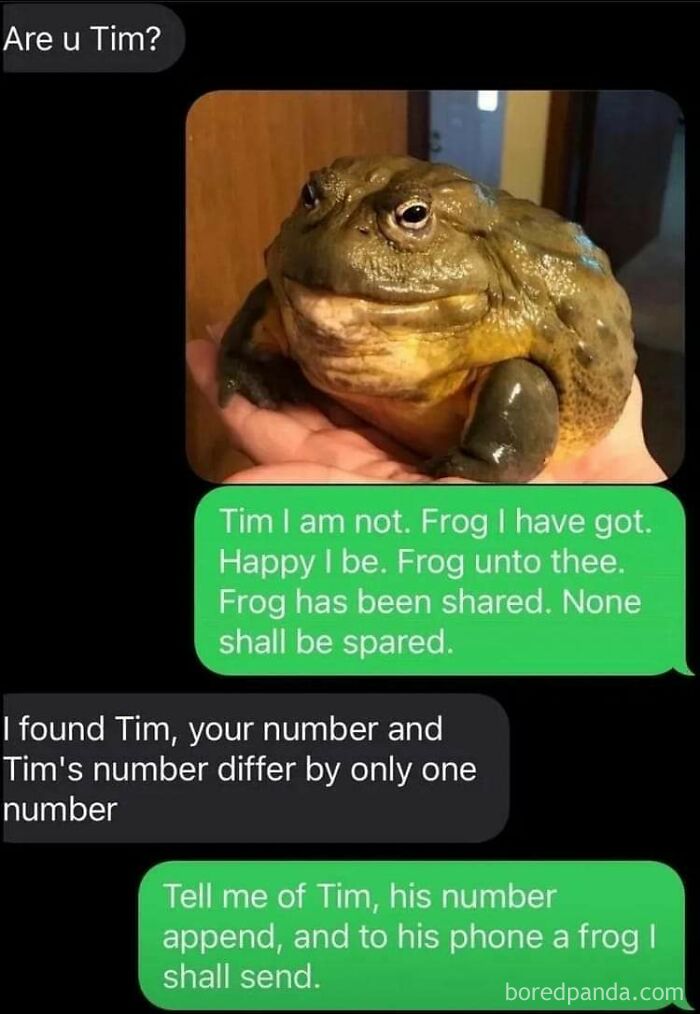 Text conversation with a humorous exchange about a frog in hand, featuring playful dialogue. Best-Texts-Of-2024.