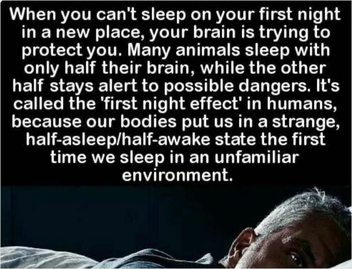 Text explaining "first night effect" and why humans struggle to sleep in new environments, with an image of a person in bed.