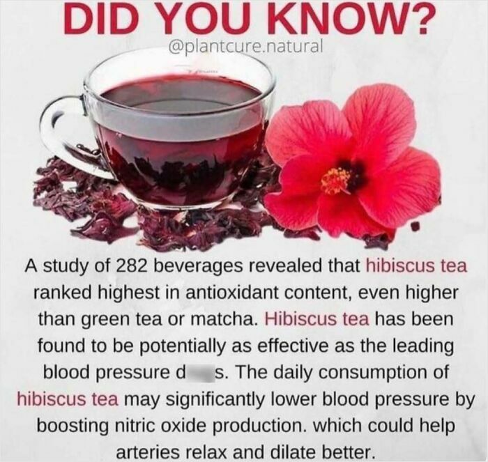 Cup of hibiscus tea with a flower, highlighting its high antioxidant content and potential blood pressure benefits.