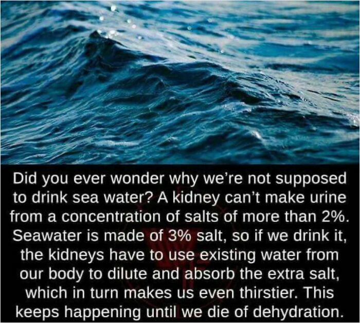 Ocean waves with text explaining why humans cannot drink seawater due to high salt concentration, related to how everything works.