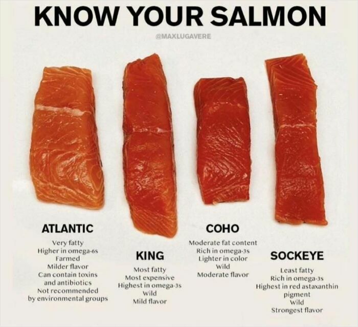 Four types of salmon displayed: Atlantic, King, Coho, Sockeye with differences in fat content and omega-3 levels.