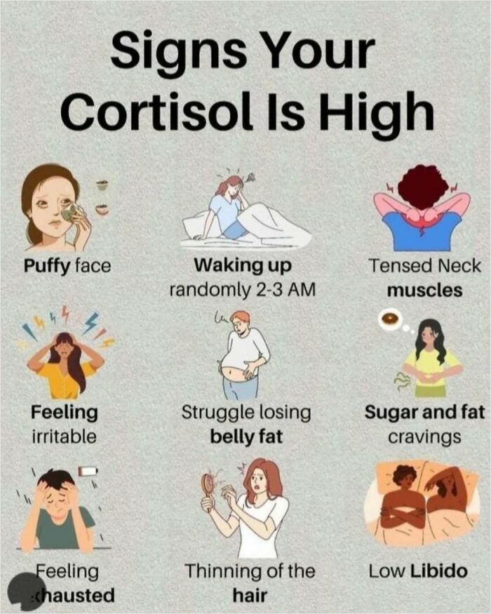 Signs of high cortisol like puffiness, fatigue, insomnia, and cravings illustrated with drawings.