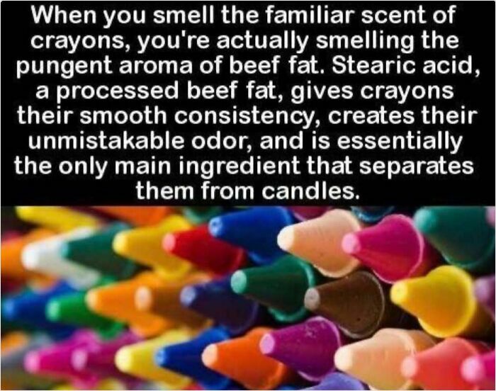 Colorful crayons with text explaining they contain stearic acid, derived from beef fat, distinguishing them from candles.