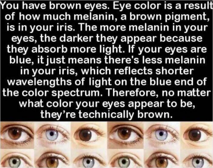 Diagram explaining eye color and melanin with three rows of different colored eyes shown below.