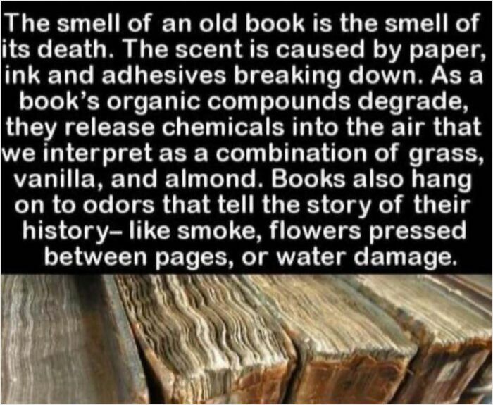 Old book smell explained: scents from degrading compounds evoke grass, vanilla, almond hints and tell their history.