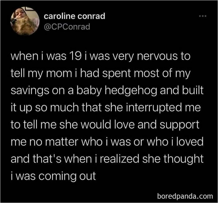 Funny meme about miscommunication between a person and their mom concerning a baby hedgehog purchase.