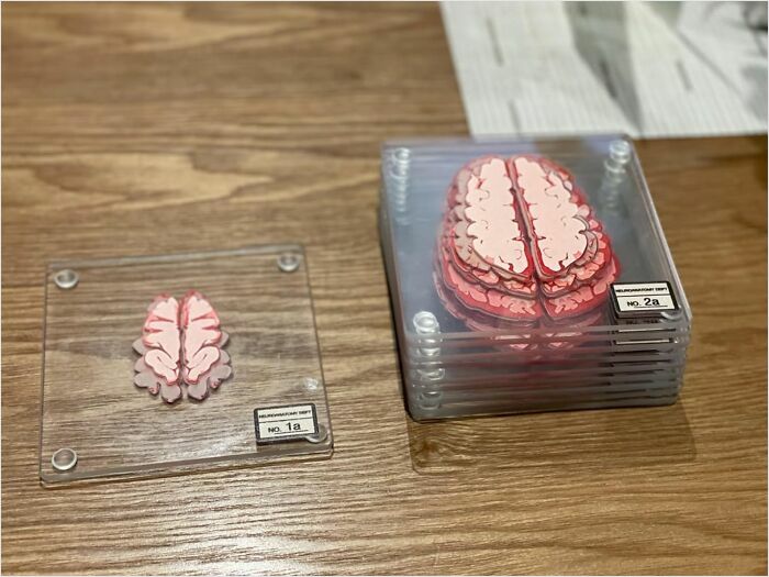 Stacked paper brain puzzle slices on a wooden table, showcasing coolest things in innovative design.