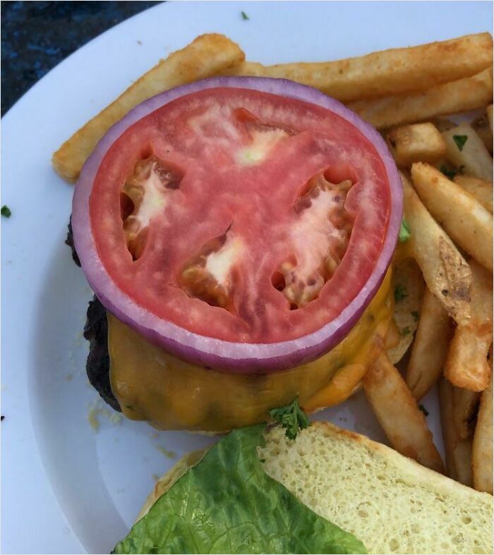 Perfect fit of tomato and onion slice on burger with fries.