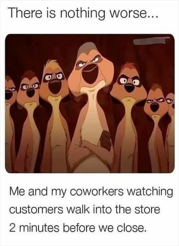 Group of meerkats with annoyed expressions, representing work memes about coworkers and closing time frustrations.