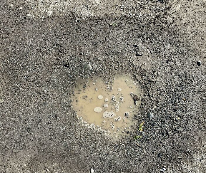 Heart Shaped Puddle That Was Not Well Received By R/Mildlyinteresting