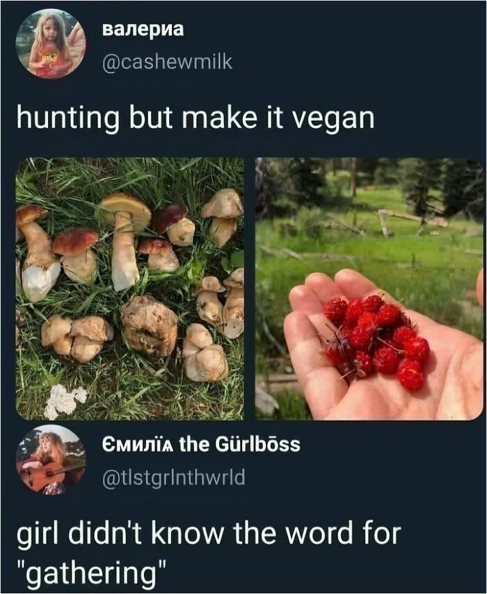 Science meme with foraged mushrooms and berries, captioned "hunting but make it vegan."