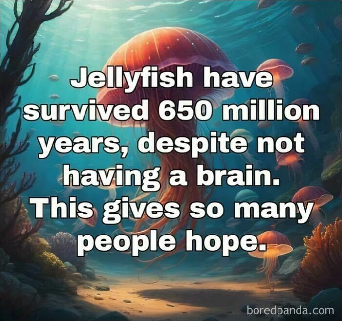 Jellyfish with humorous text about surviving 650 million years without a brain, combining science knowledge with humor.