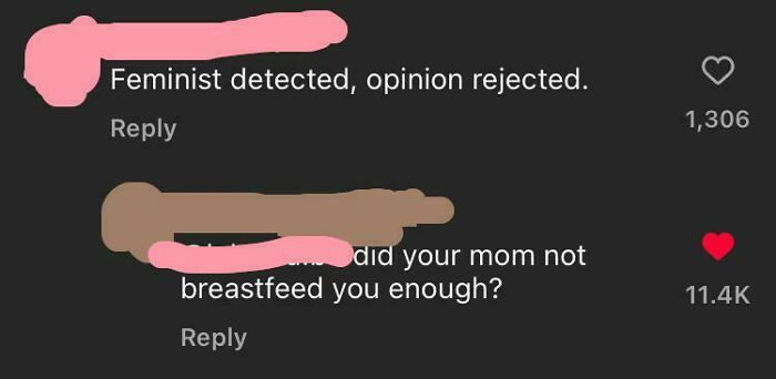 Screenshot with witty roasts: "Feminist detected, opinion rejected," and a sassy comeback gaining popularity.