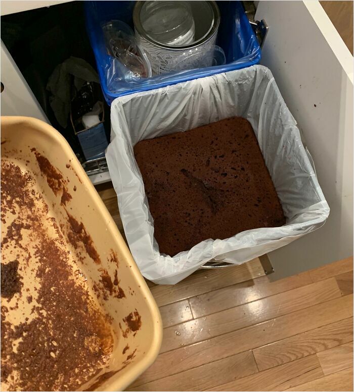 Brownie perfectly fits into the trash bin, creating a satisfying-perfect-fit moment in the kitchen.