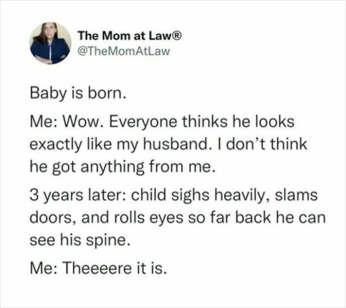 Funny meme about parenting chaos: Baby resembles husband initially, later develops mom's attitude by rolling eyes dramatically.