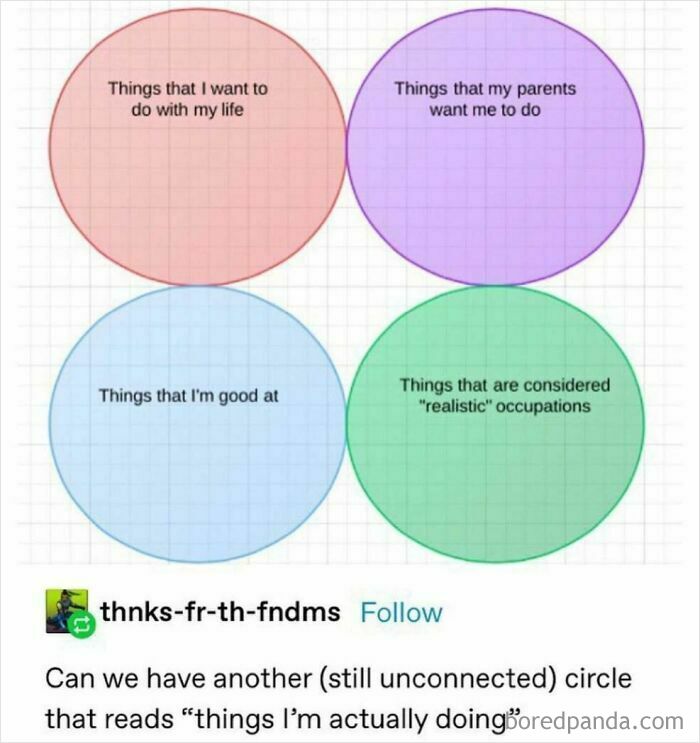 Venn diagram meme humorously depicting life goals, parental expectations, skills, and realistic occupations.