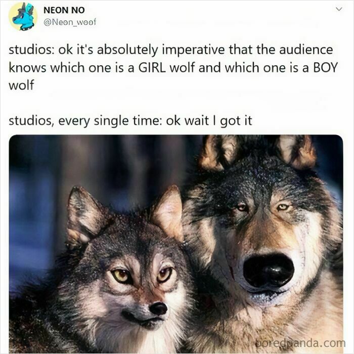 Two wolves humorously depicted with exaggerated features in a meme about gender distinctions in culture.