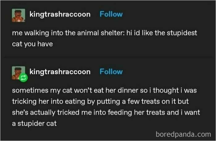 Funny meme about cats and their sneaky behavior shared by user kingtrashraccoon.