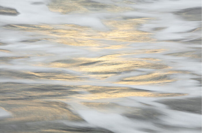 Photographer captures golden waves in a mesmerizing scene.