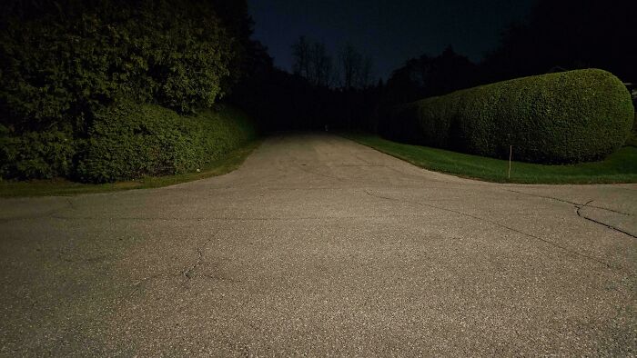 Nighttime road scene resembling a videogame environment with neatly trimmed hedges and dark sky.