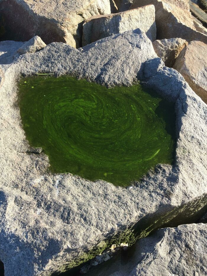 Rock pool with swirling green water resembling videogames nearby large boulders.