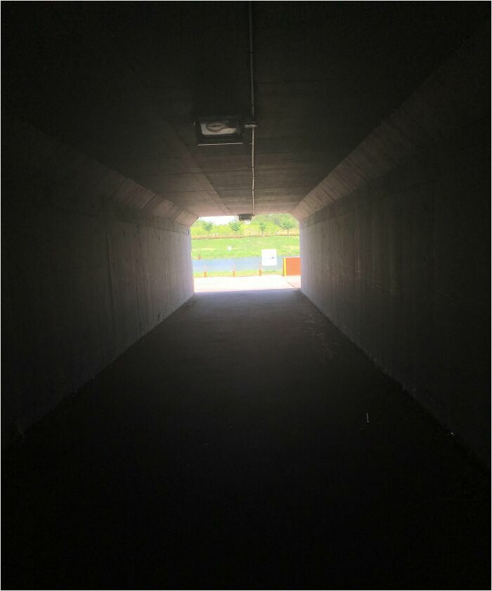 Tunnel exit opens to a bright, lush landscape, resembling a scene straight out of a videogame.