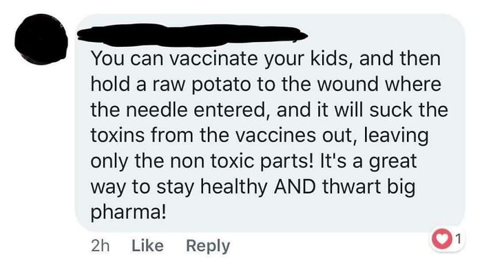 Comment by an ignorant parent suggesting using a potato to remove vaccine toxins for better health.