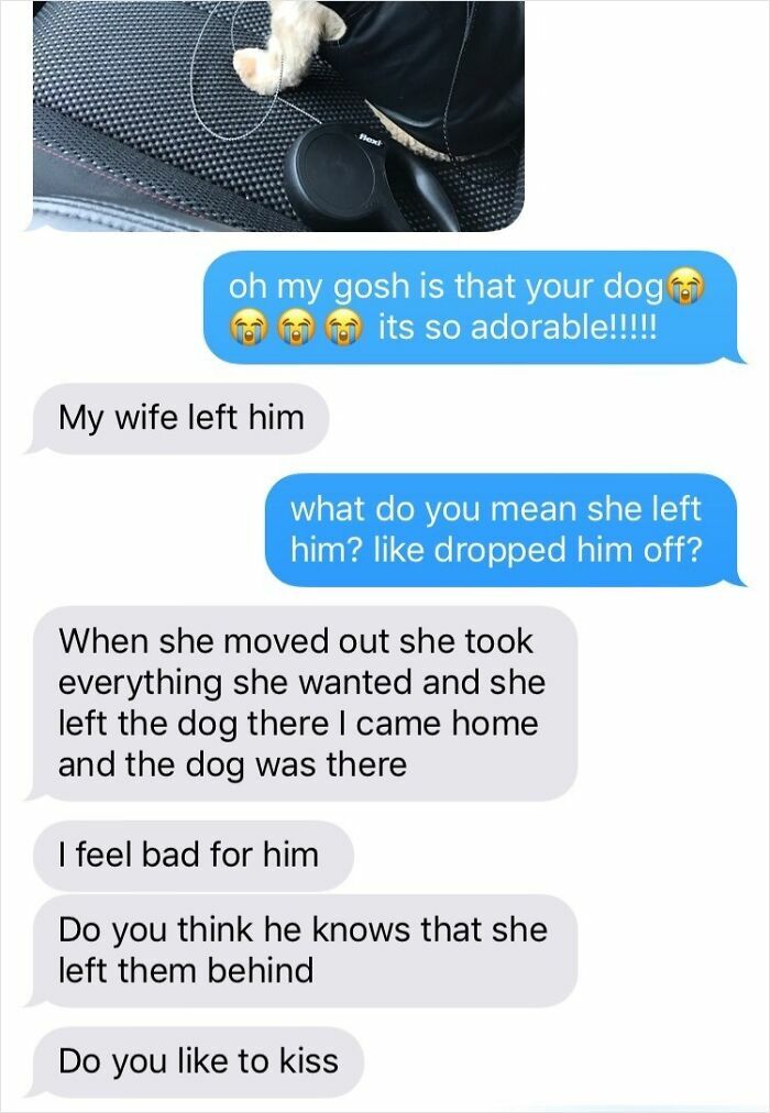 Text conversation about a dog abandoned by a wife, ending with an awkward question. Theme of infuriating men approaching women.