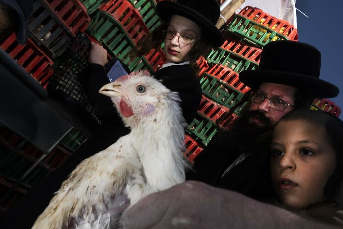 People with a chicken at a market, showcasing everyday life in Israel.