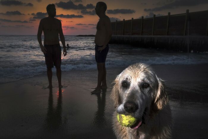 Dog with tennis ball on Israeli beach at sunset, two silhouetted men in the background.