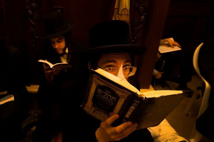 A man reading in a dimly lit room in Israel, wearing traditional black hat and glasses, surrounded by others engaged in books.