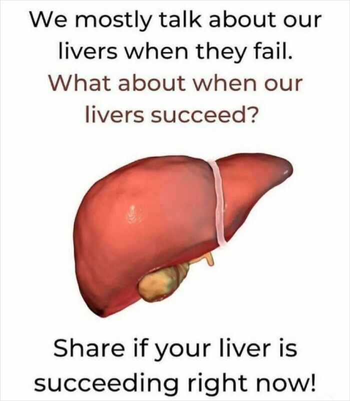 My Liver Is Working!!