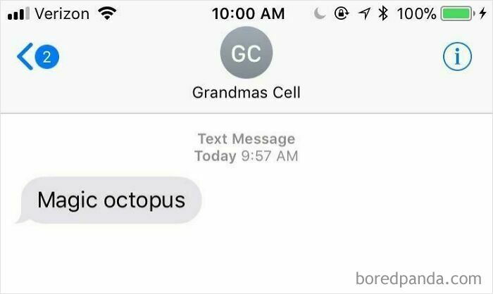 Text from grandma saying "Magic octopus," part of the best texts of 2024 collection.