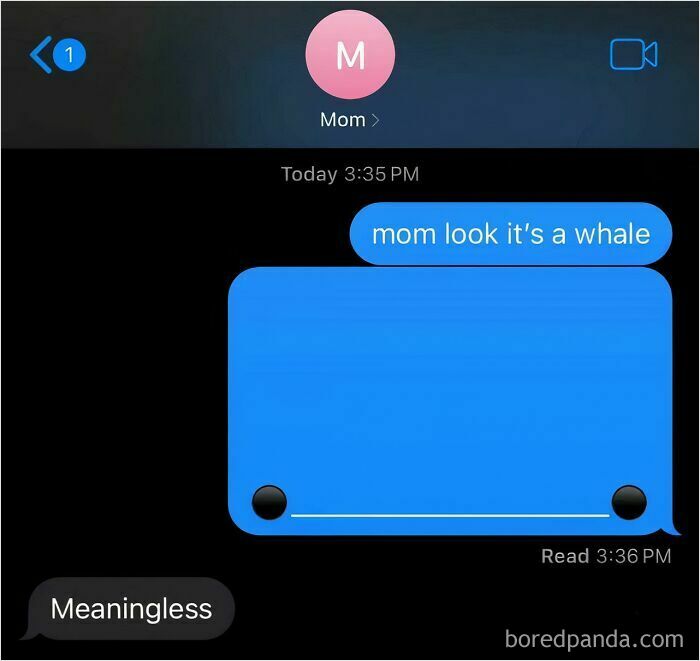 Text message screenshot with whale emoji art, titled "mom look it's a whale." Response says "Meaningless." Best-Texts-Of-2024.