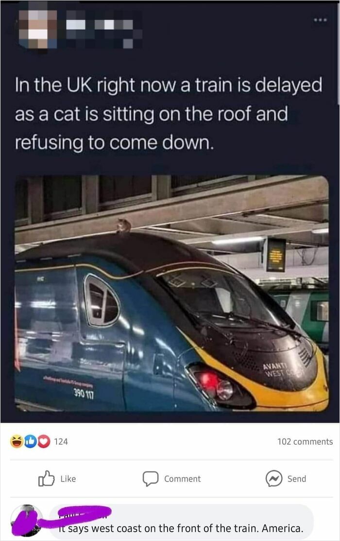 Train delayed due to cat on roof, with humorous comment about its destination in America, reflecting on peak dumb moments.