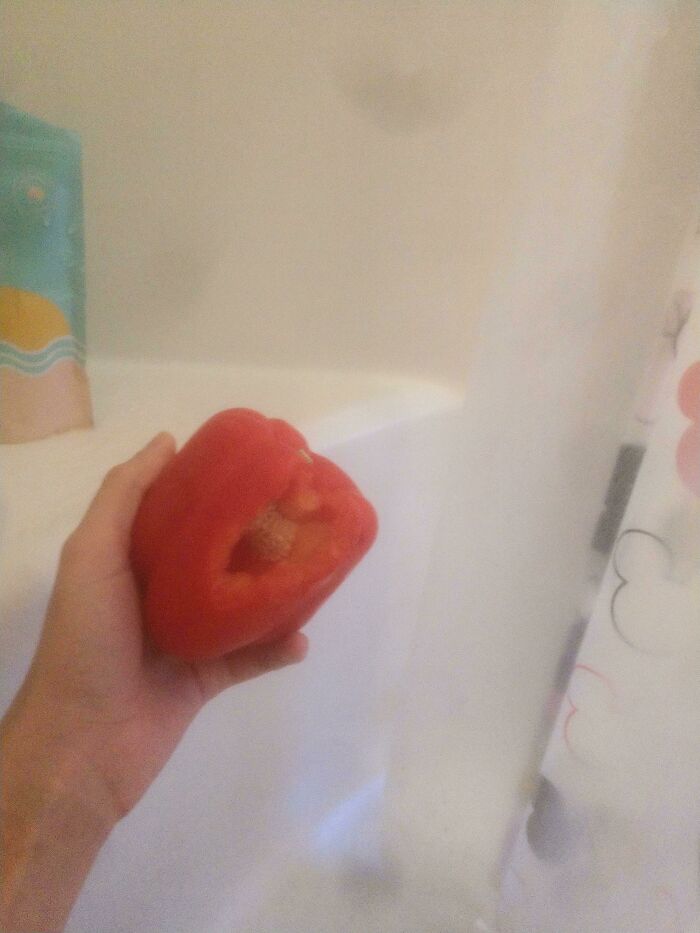 Shower Pepper ❤️