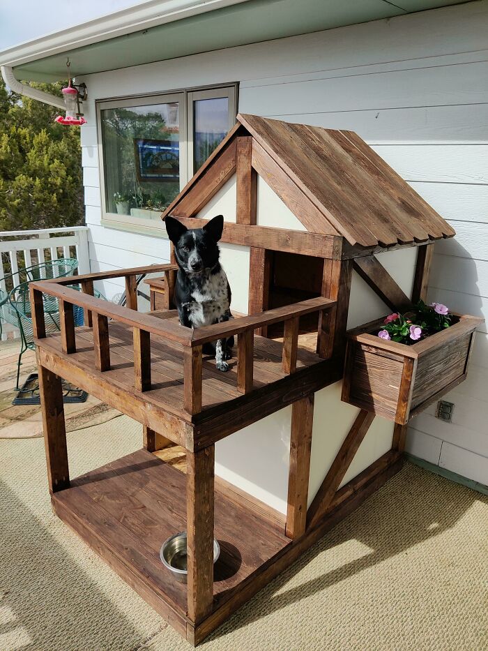 A spoiled pet dog stands on a wooden outdoor pet house with a balcony and flower box.