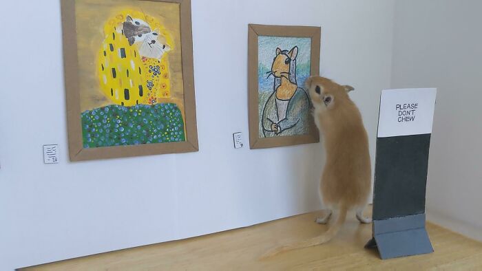 Spoiled pets enjoying art gallery replicas, with a furry creature admiring mini paintings and a “Please Don’t Chew” sign.