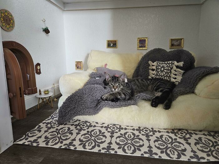 Tabby cat lounging on a plush sofa in a miniature living room, highlighting spoiled-pets lifestyle.