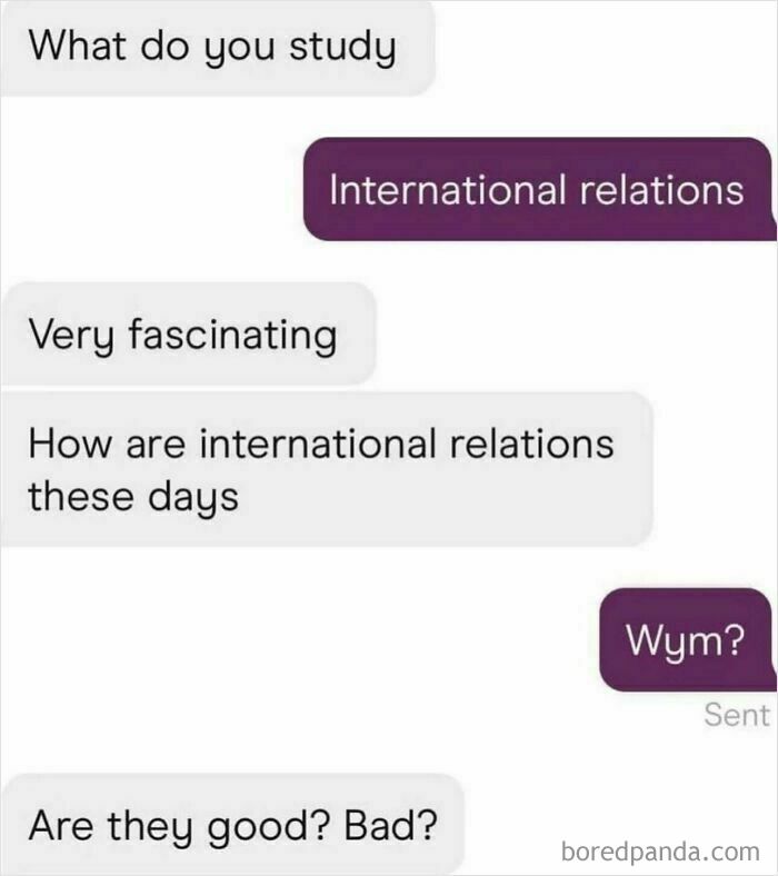 Text exchange about studying international relations with humor, part of best-texts collection.