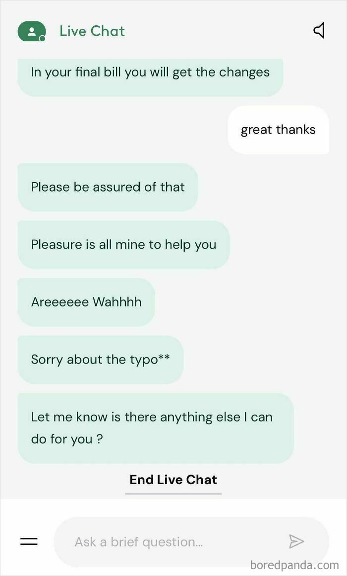 Live chat conversation featuring customer support dialogue, showcasing best texts of 2024.