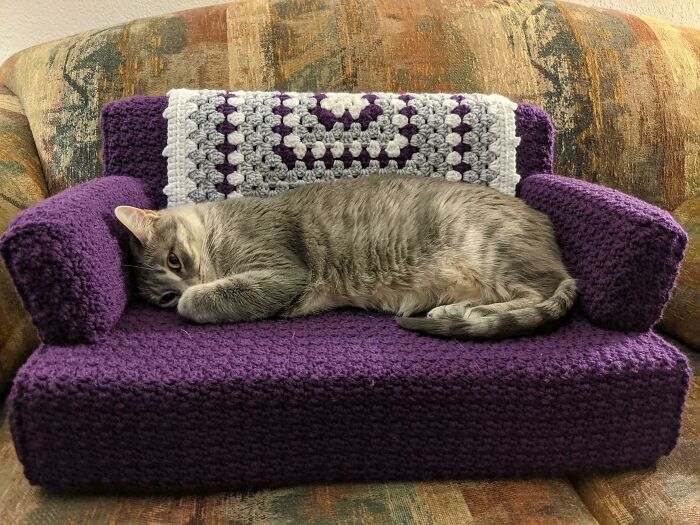 Gray cat lounging on a purple crocheted pet sofa, epitomizing spoiled pets.