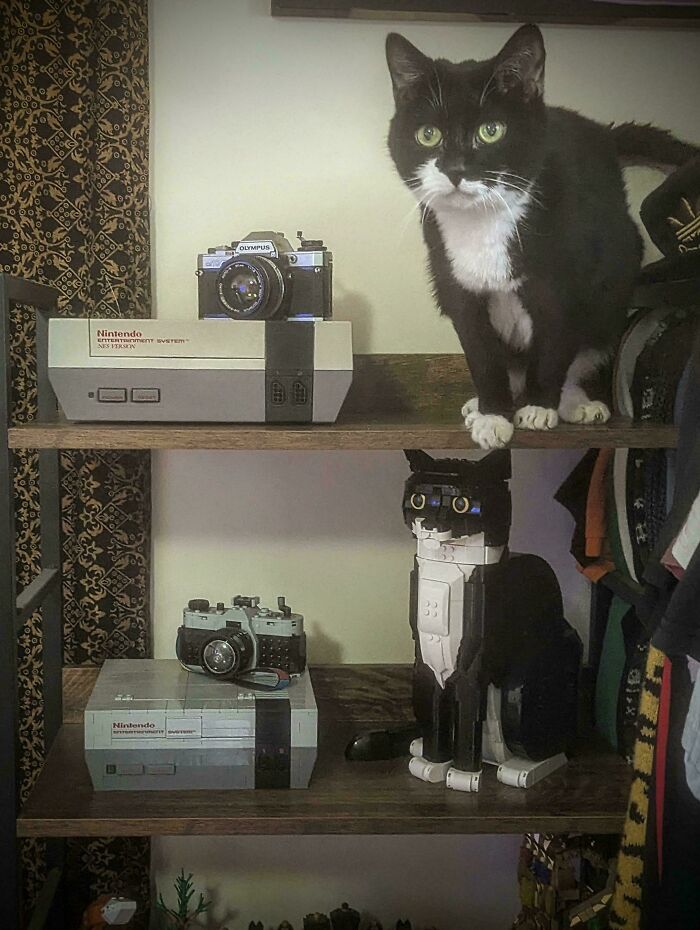 Cat beside cool LEGO builds of a vintage camera and NES on a wooden shelf.