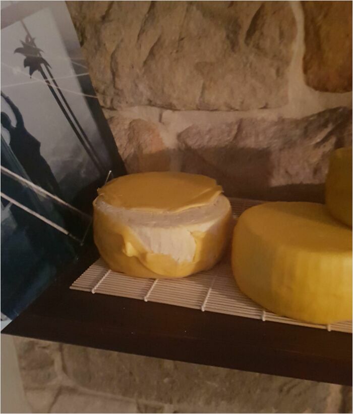 Cheese wheels on a shelf in a rustic setting, reflecting a horrible-roommates scenario.