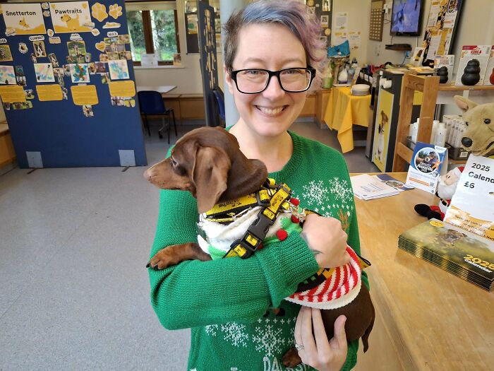 Person smiling and holding a small dog in a festive sweater, showcasing a heartwarming adoption moment.